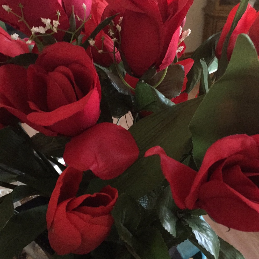 Meet your Posher, Susan